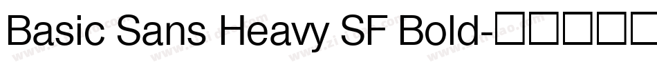 Basic Sans Heavy SF Bold字体转换